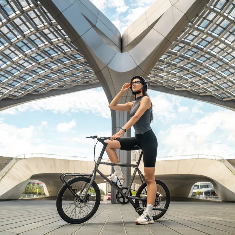 Two-Wheel Electric Bicycle