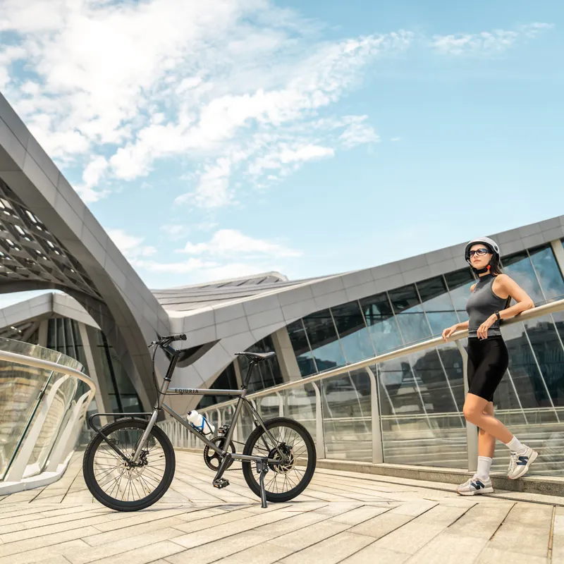15 MPH Electric Bicycle