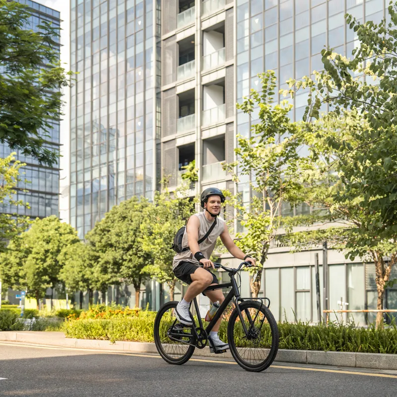25 MPH Electric Bicycle