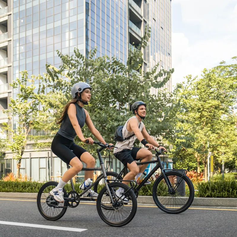 30 MPH Electric Bicycle