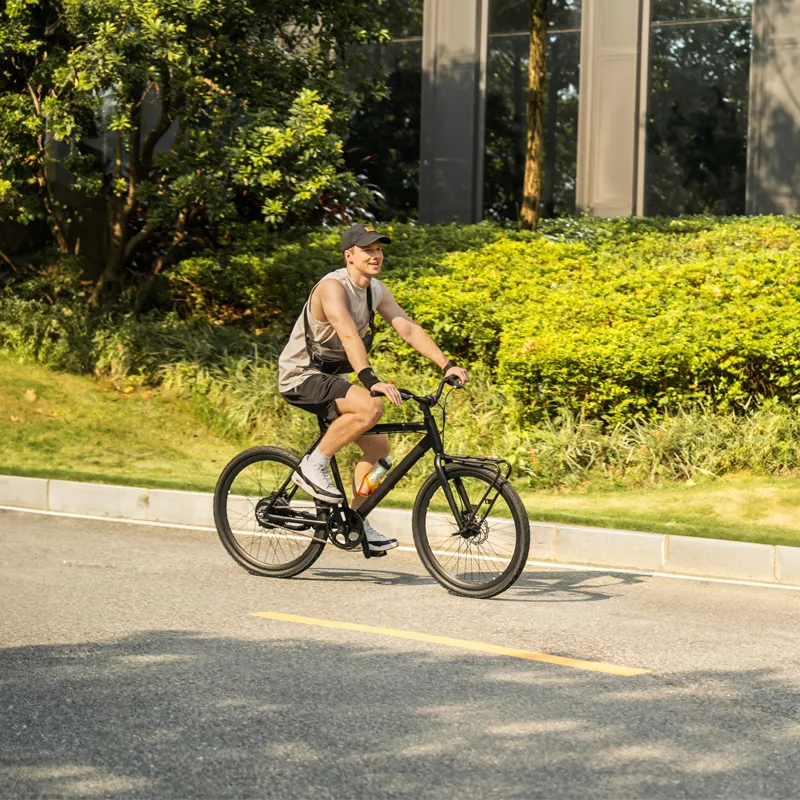 40 MPH Electric Bicycle