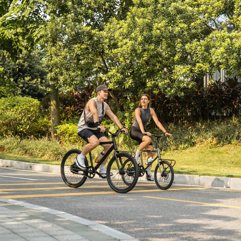 350W Electric Bicycle