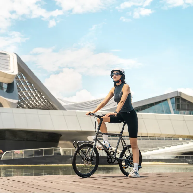 500W Electric Bicycle