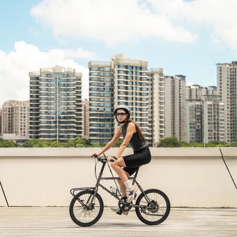 Senior Leisure Electric Bicycle