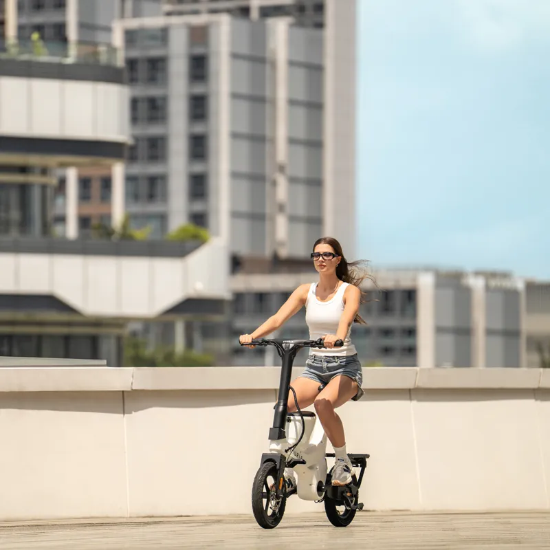 16-inch Electric Exercise Bike