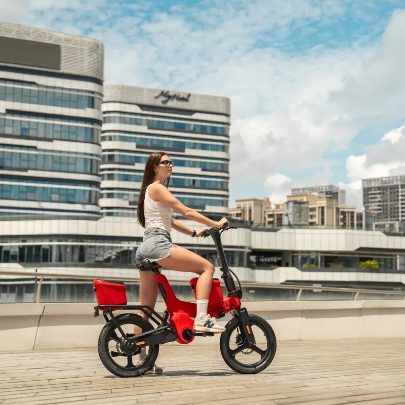 18-inch Electric Exercise Bike
