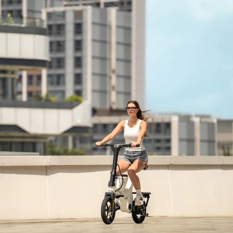 20 MPH Electric Exercise Bike