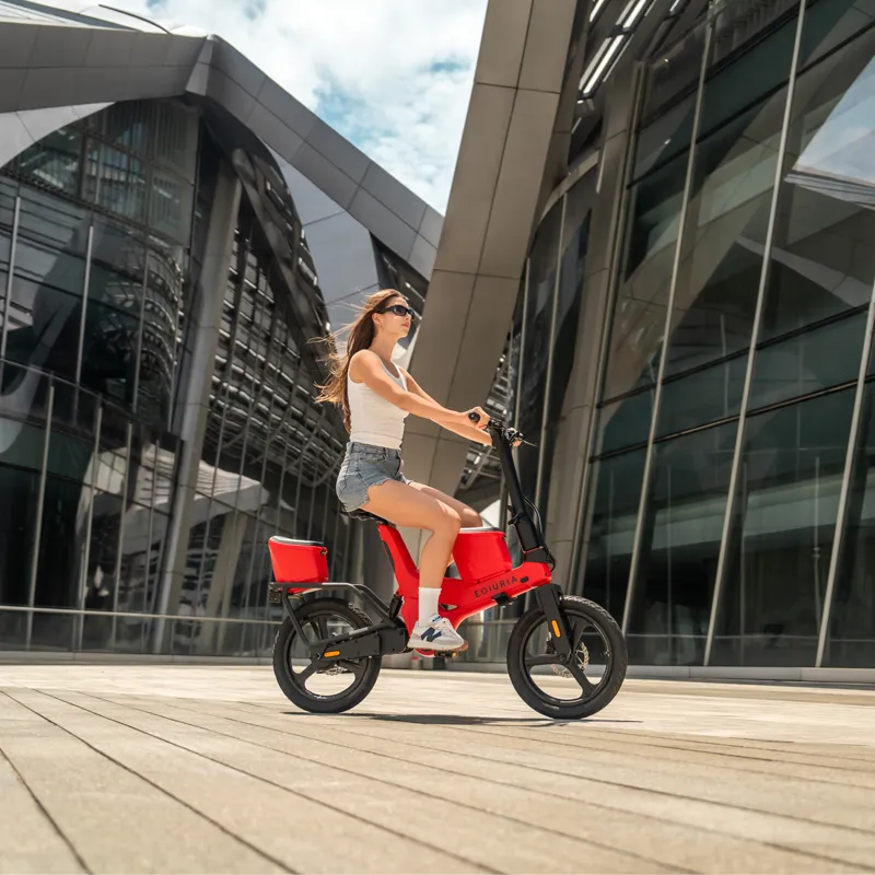 250W+250W Electric Exercise Bike