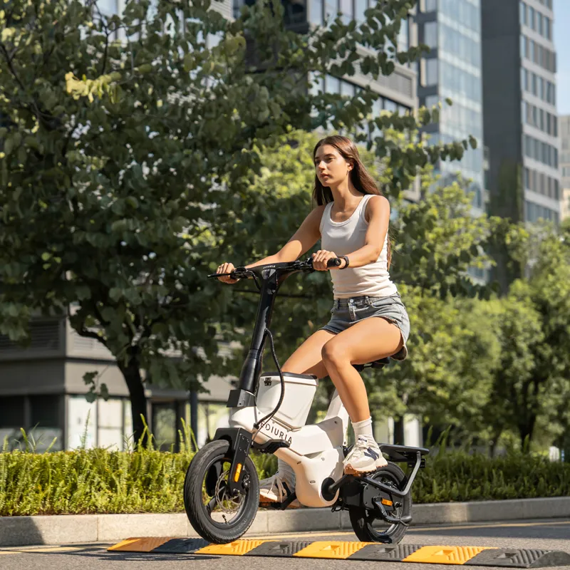 500W+500W Electric Exercise Bike