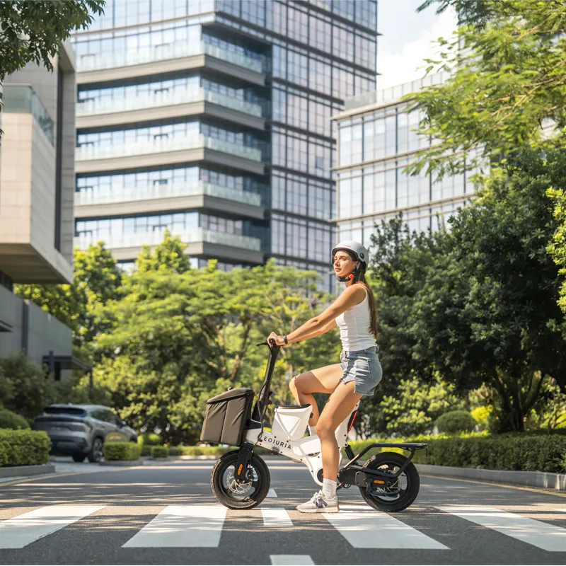 Belt-Driven Electric Exercise Bike