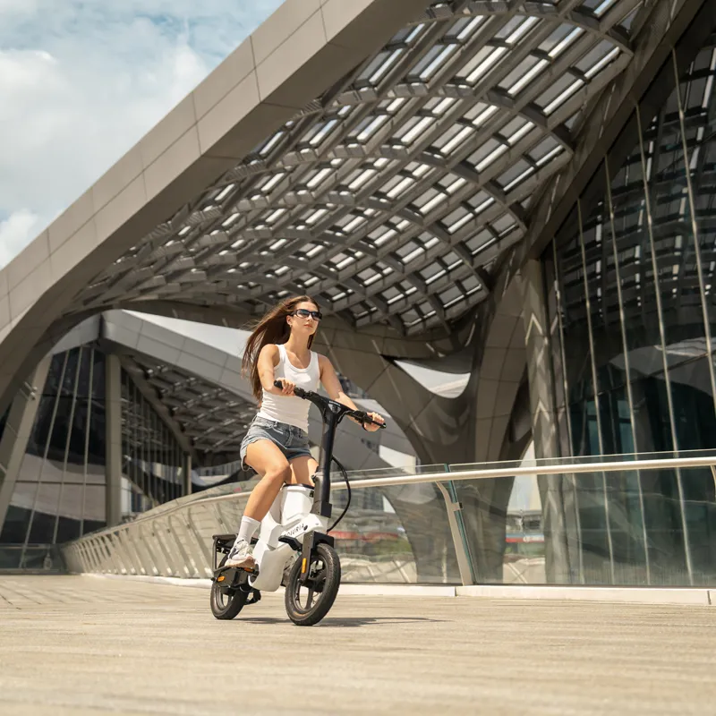 Dual-Motor Electric Exercise Bike