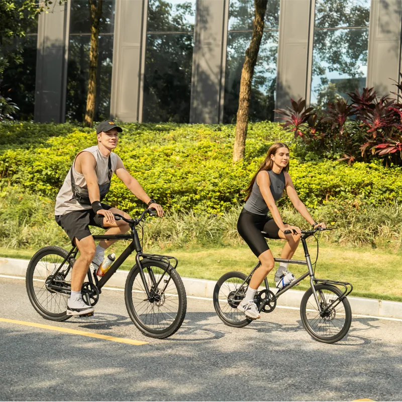 Electric Bike with Rack