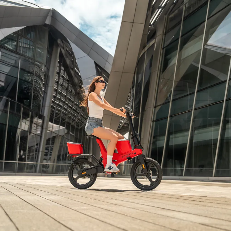 Long-Range Electric Exercise Bike