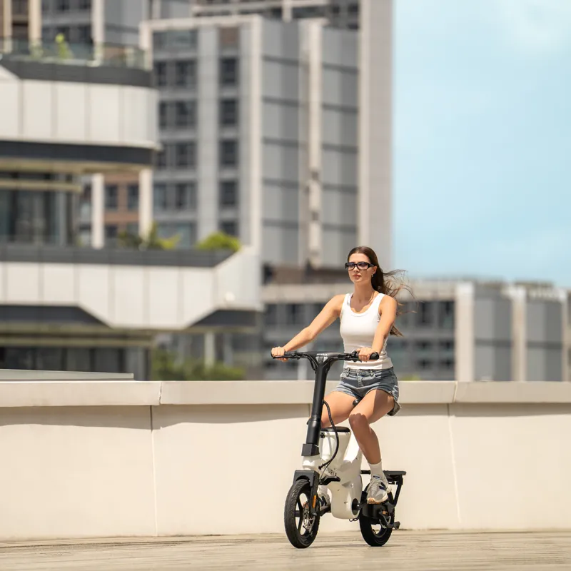 Urban Commutina Electric Exercise Bike