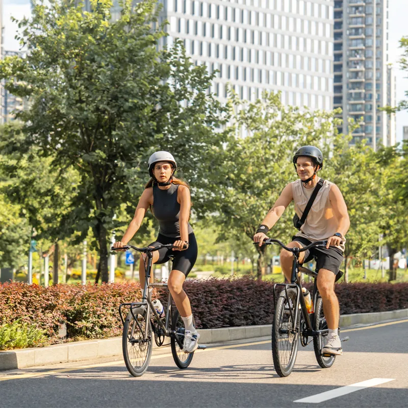 Lightweight Electric Bike