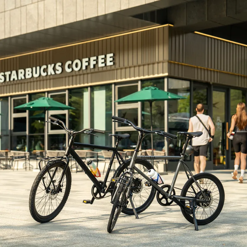 Long-Range Electric Bike