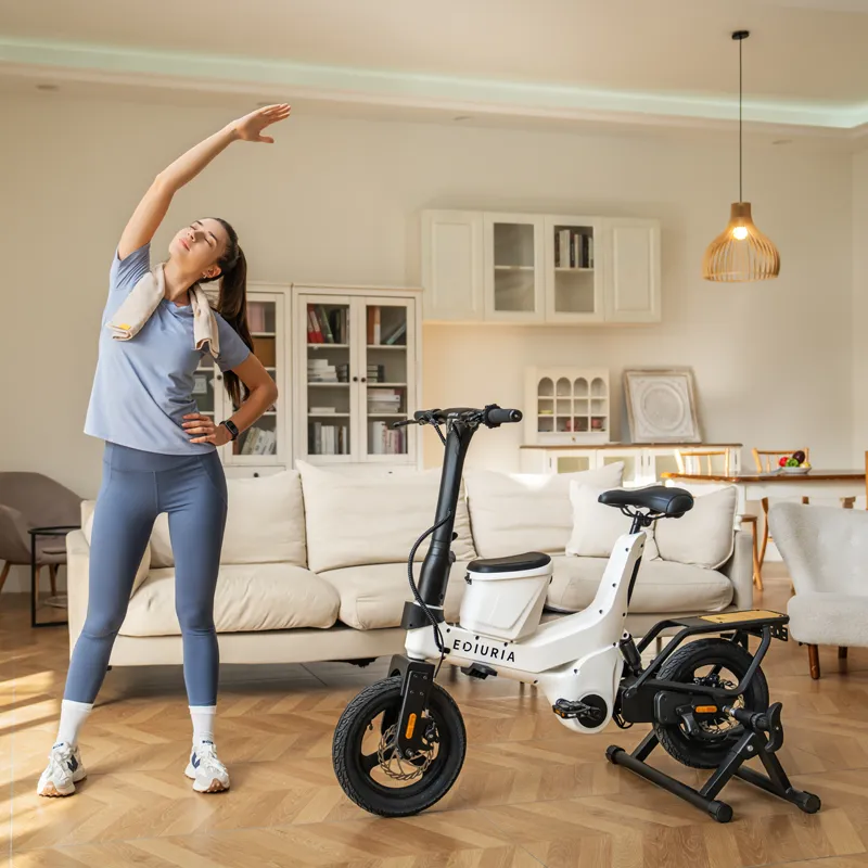 Fitness Electric Exercise Bike