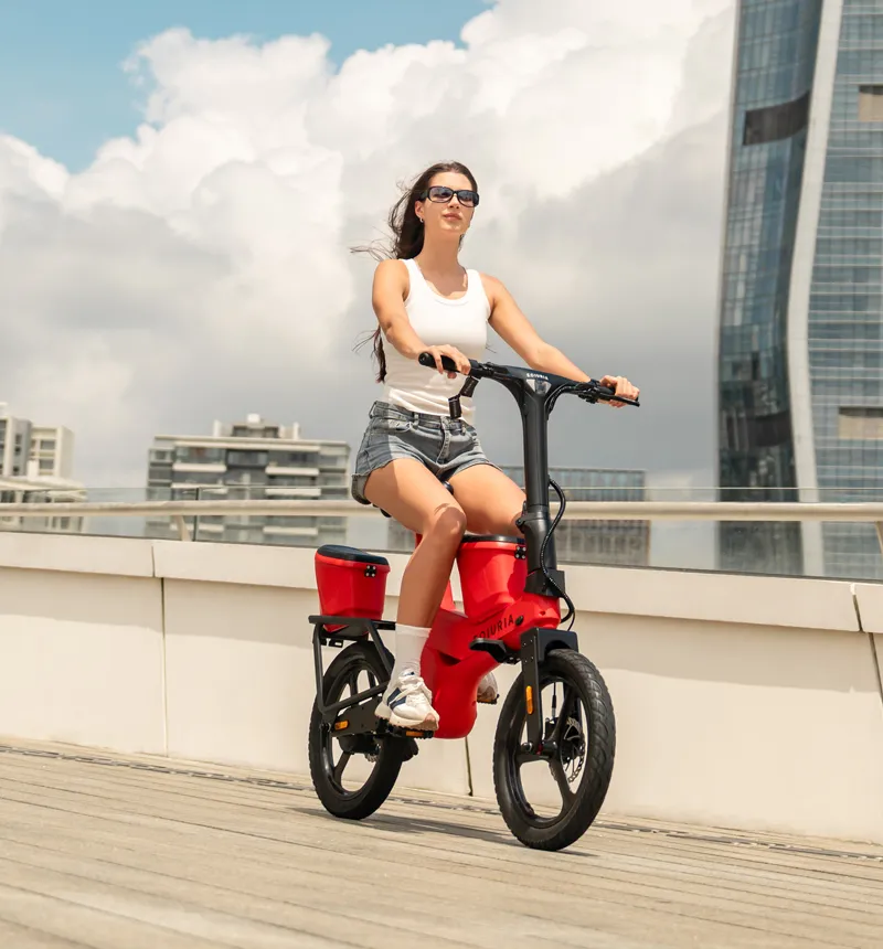 14-inch Electric Exercise Bike