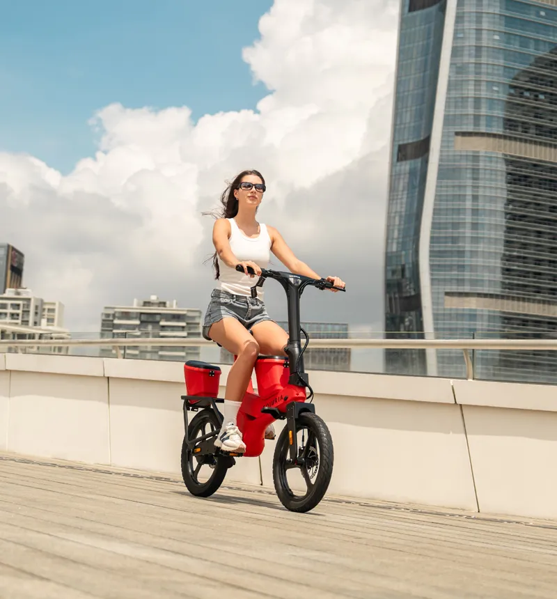 250W+250W Electric Exercise Bike