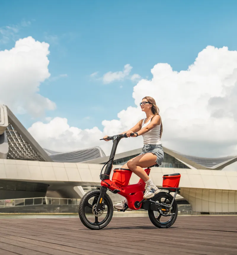 350W+350W Electric Exercise Bike