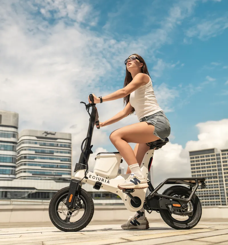 500W+500W Electric Exercise Bike