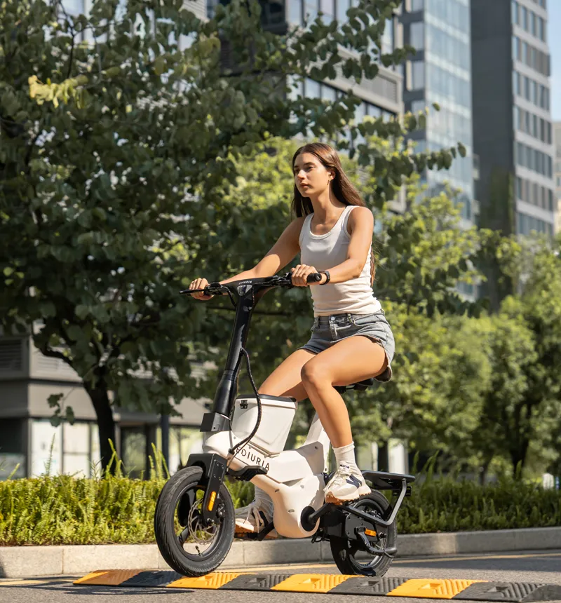 500W+500W Electric Exercise Bike