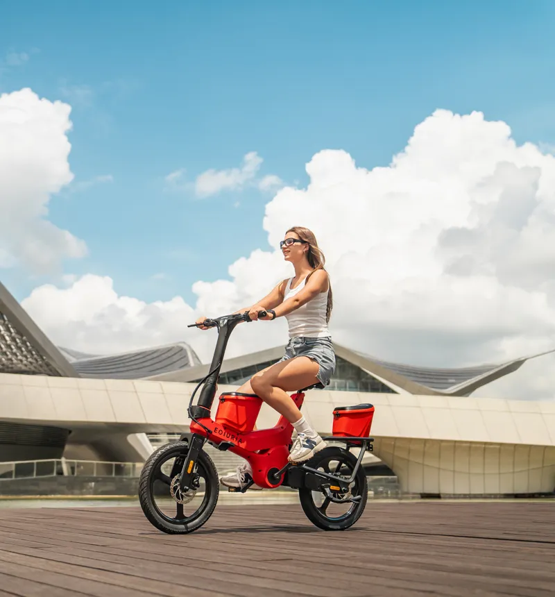16-inch Electric Exercise Bike