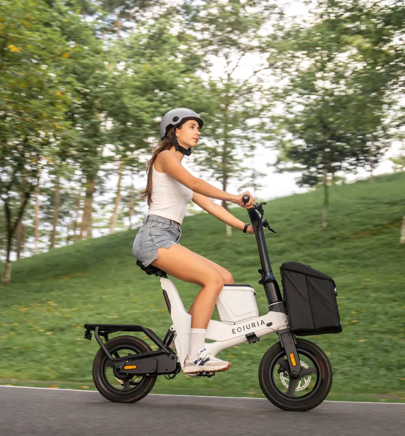30 MPH Electric Exercise Bike