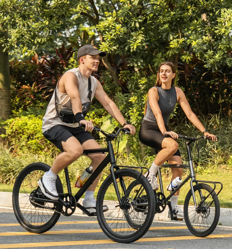 Off-Road Adventure Electric Bicycle