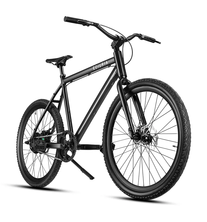 250W Electric Bicycle