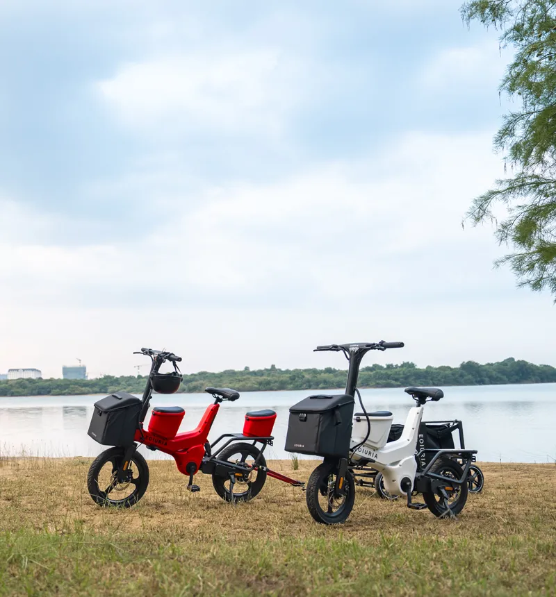 Dual-Motor Electric Exercise Bike