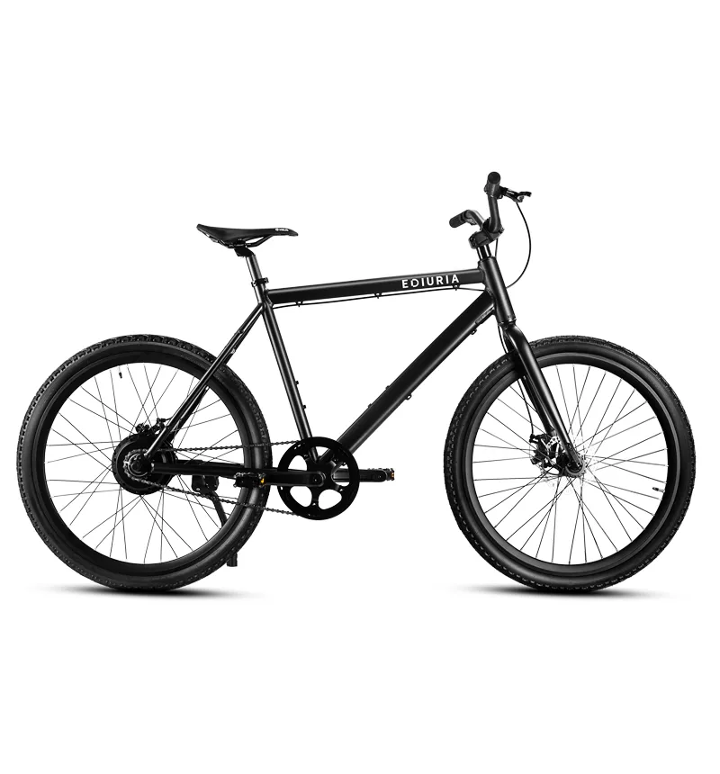250W Electric Bicycle