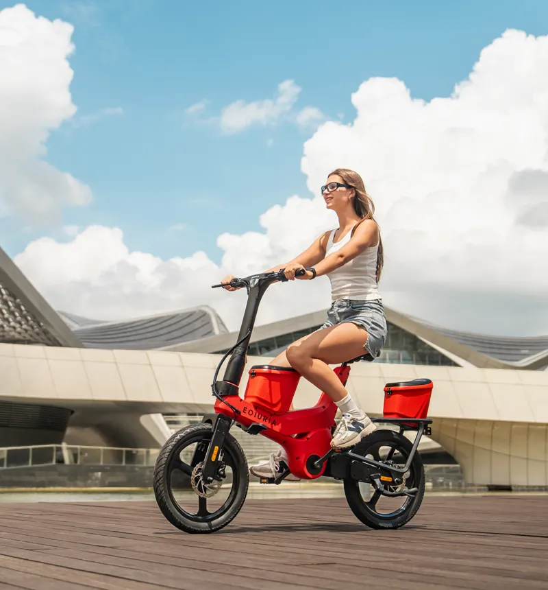 Foldable Electric Exercise Bike