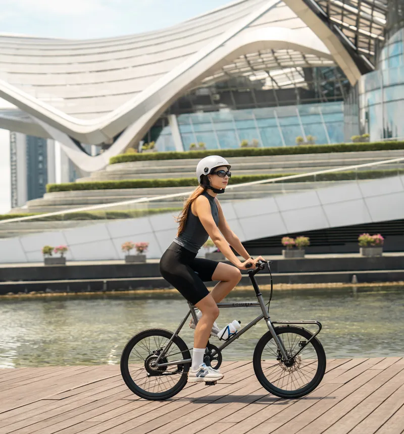 Two-Wheel Electric Bicycle