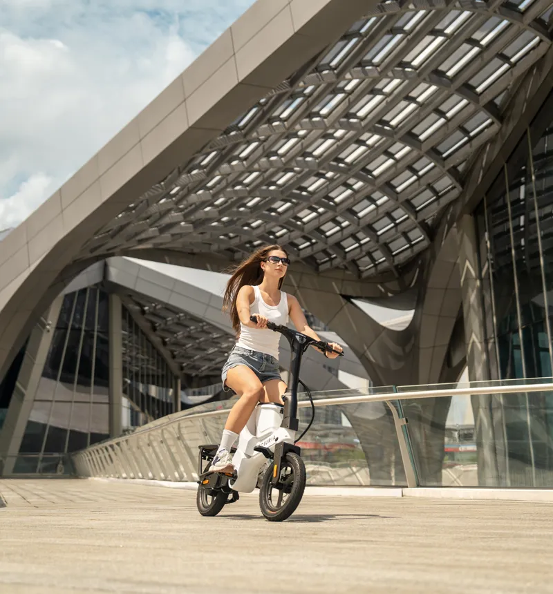 Long-Range Electric Exercise Bike