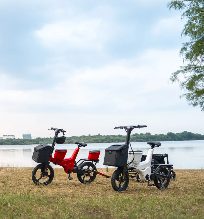 Electric Exercise Bikewith Rear Camping Trailer