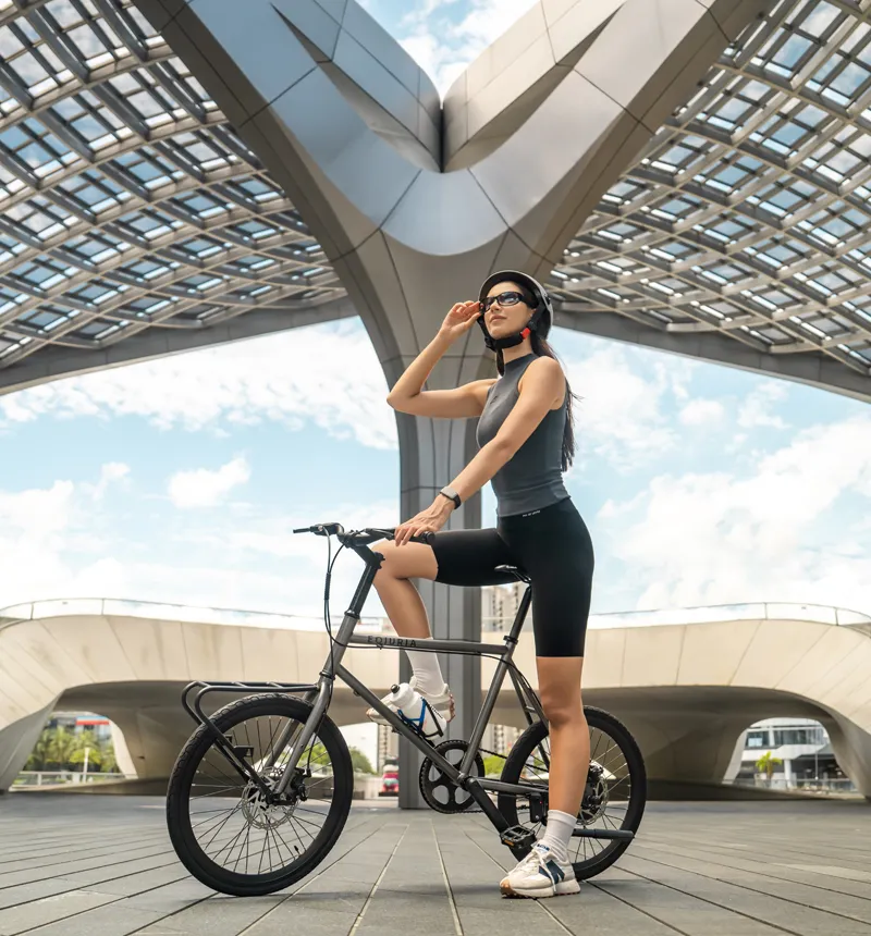 Leisure Travel Electric Bicycle