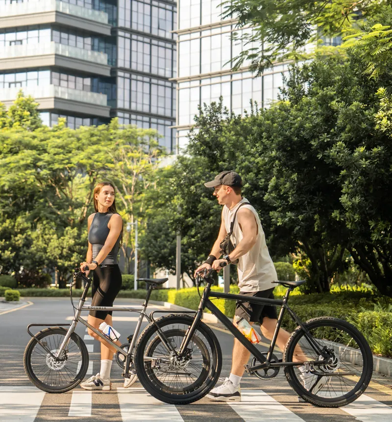 Senior Leisure Electric Bicycle