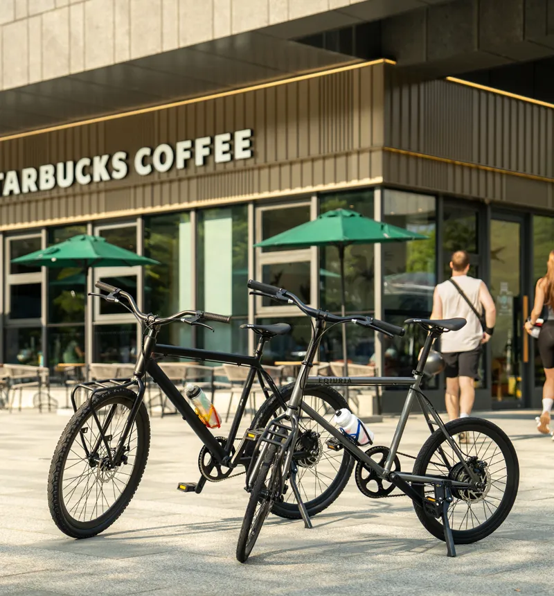 Two-Wheel Electric Bicycle