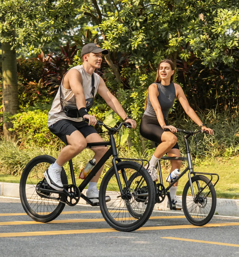 Urban Commuting Electric Bicycle