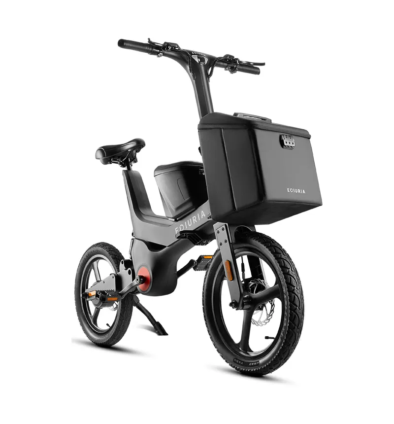 Obsidian Black Electric Exercise Bike