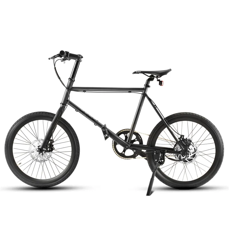 500W Electric Bicycle