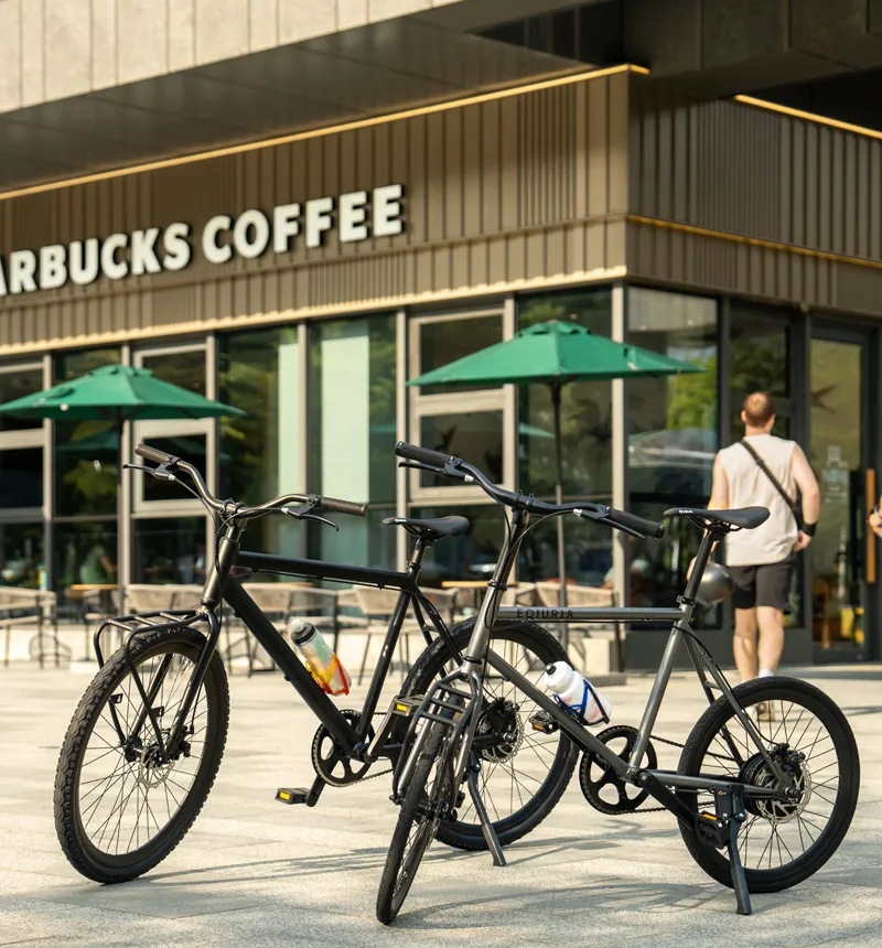 Off-Road Adventure Electric Bicycle