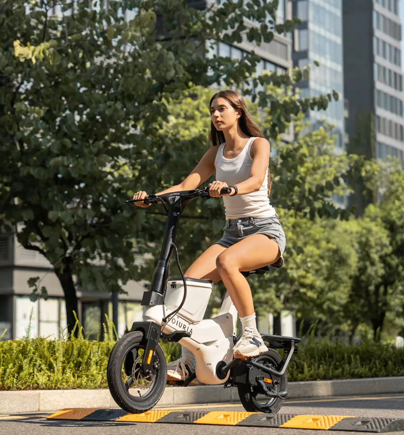 Belt-Driven Electric Exercise Bike