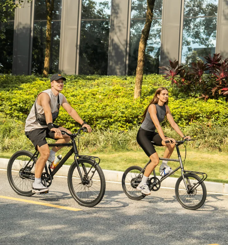 Two-Wheel Electric Bicycle