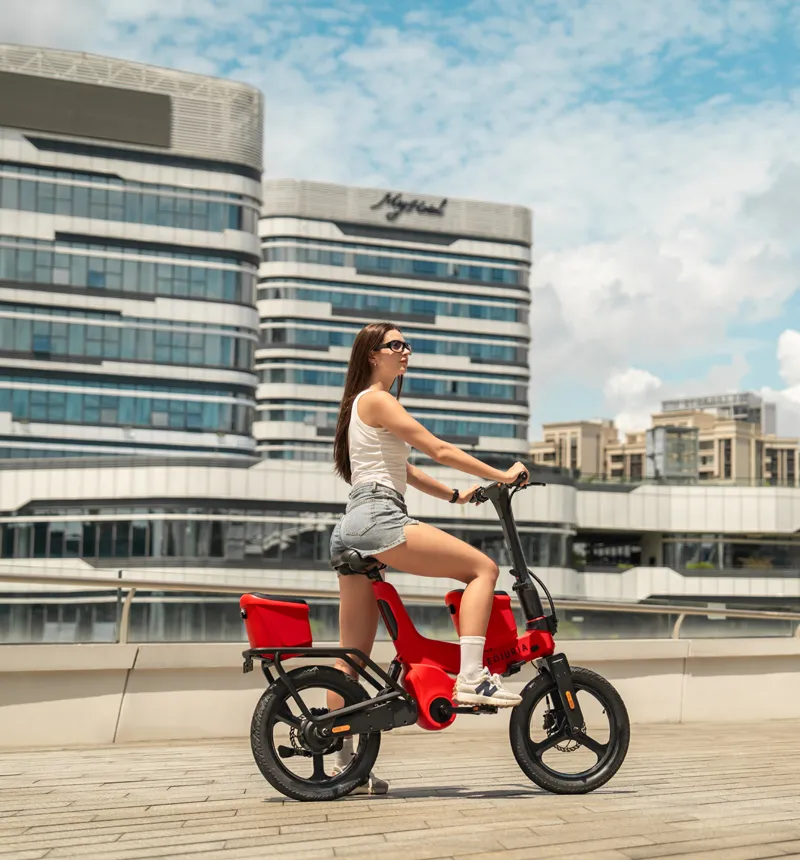Sunburst Red Electric Exercise Bike