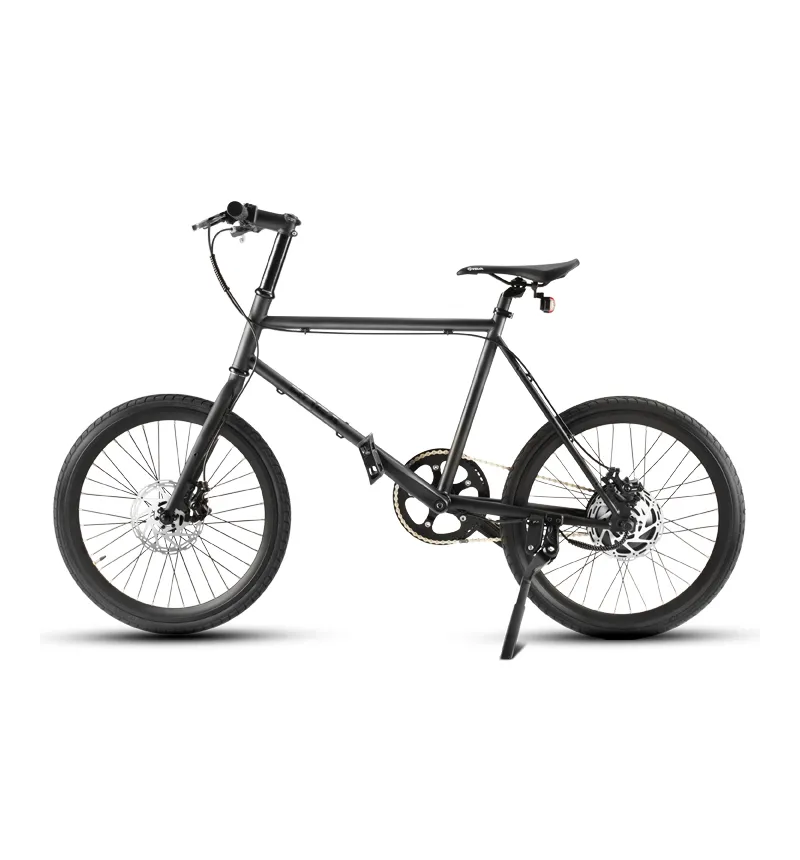 350W Electric Bicycle