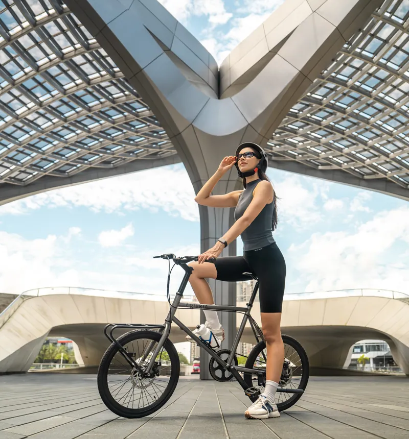 Two-Wheel Electric Bicycle