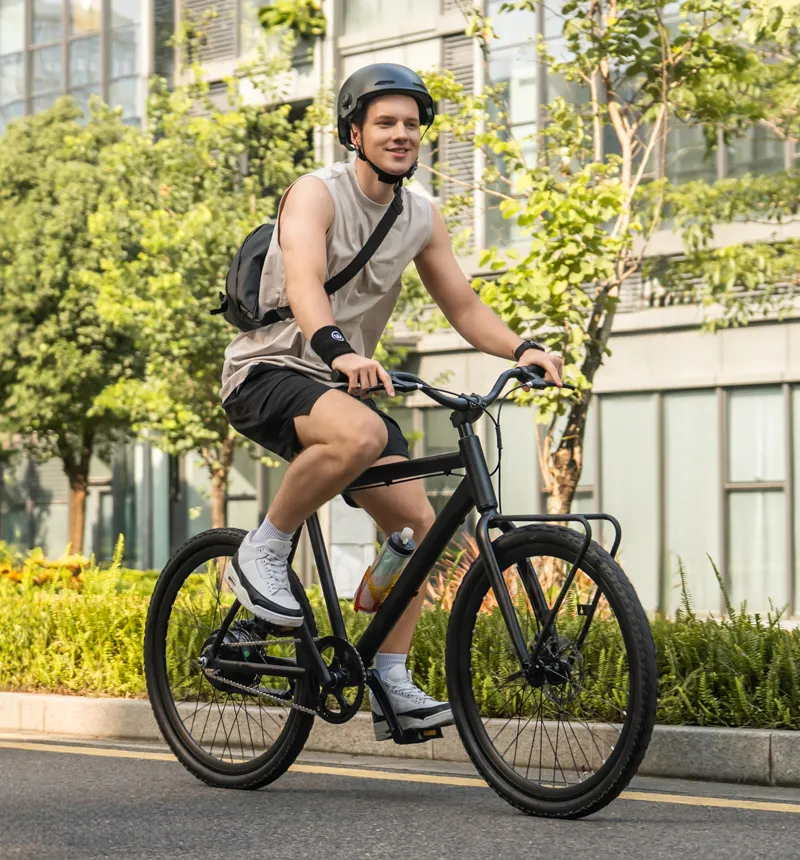 25 MPH Electric Bicycle