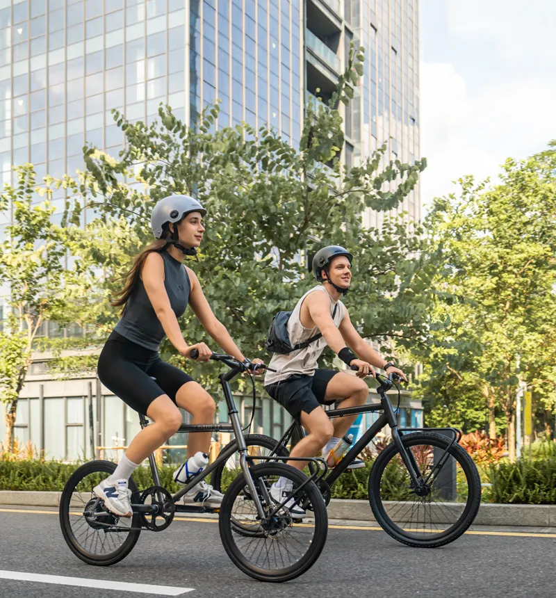 30 MPH Electric Bicycle